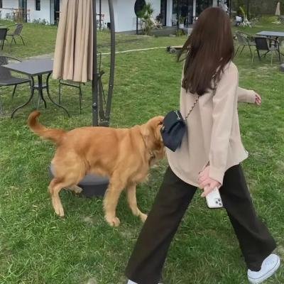罗斯托夫的野兽